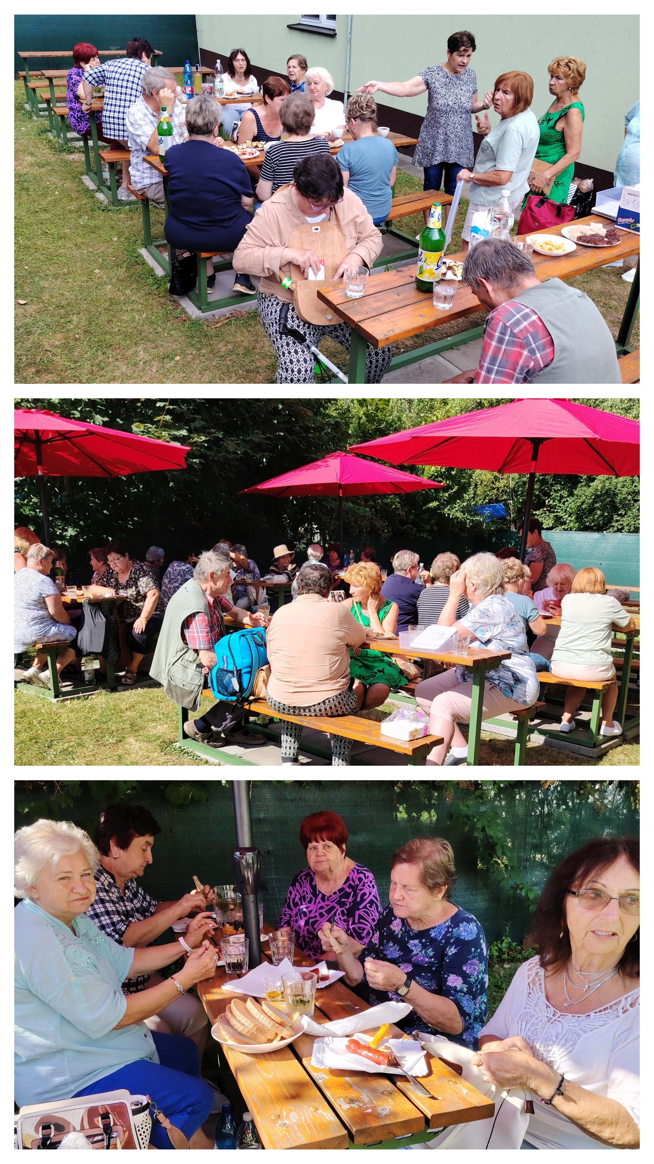 Srpen - Opékání 4