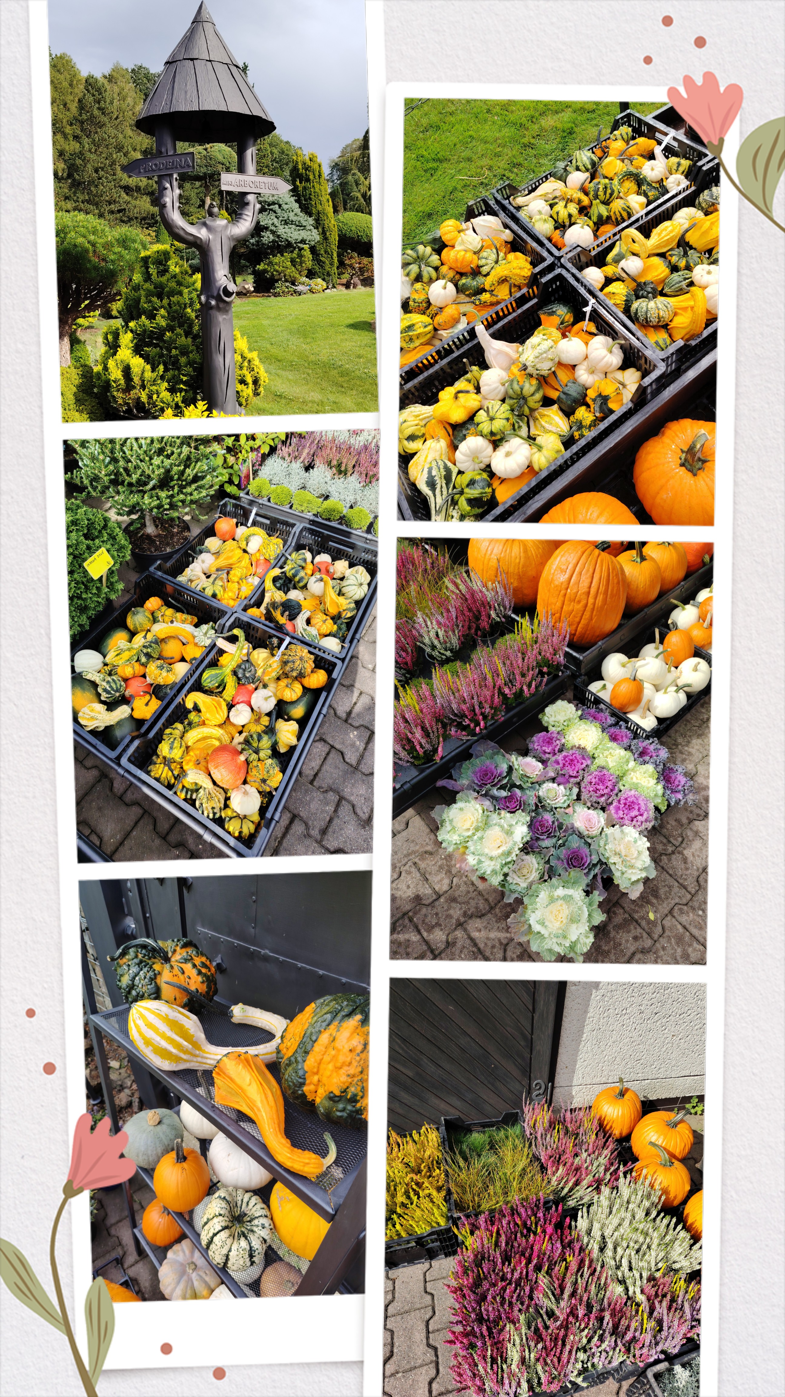 Září - Arboretum 3